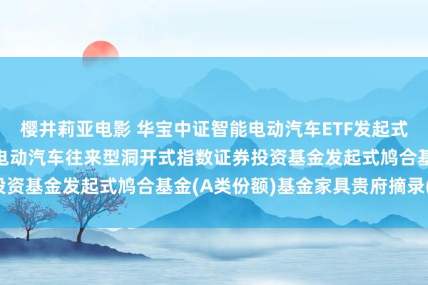 樱井莉亚电影 华宝中证智能电动汽车ETF发起式鸠合A: 华宝中证智能电动汽车往来型洞开式指数证券投资基金发起式鸠合基金(A类份额)基金家具贵府摘录(更新)