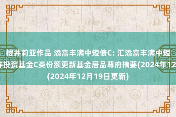 樱井莉亚作品 添富丰满中短债C: 汇添富丰满中短债债券型证券投资基金C类份额更新基金居品尊府摘要(2024年12月19日更新)