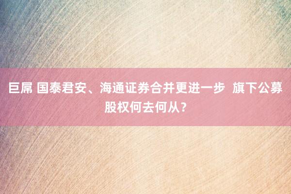 巨屌 国泰君安、海通证券合并更进一步  旗下公募股权何去何从？