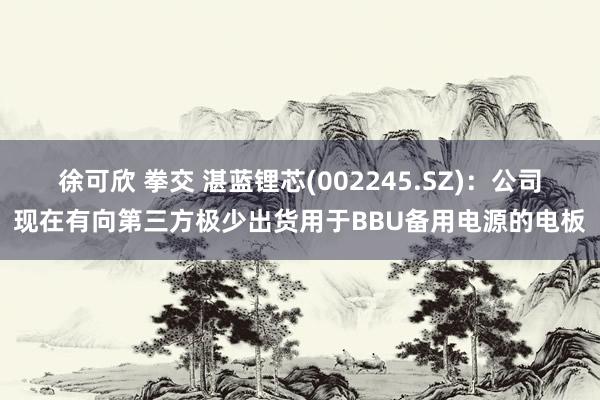 徐可欣 拳交 湛蓝锂芯(002245.SZ)：公司现在有向第三方极少出货用于BBU备用电源的电板