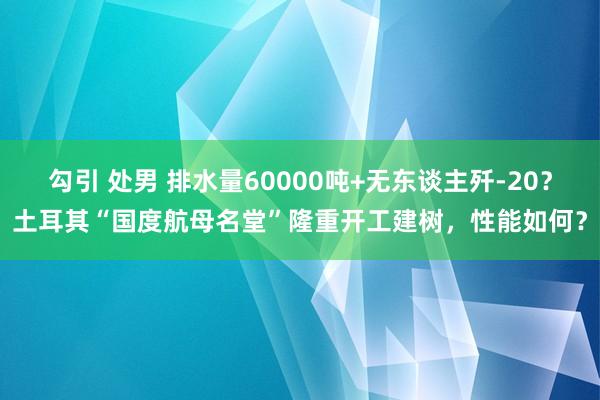 勾引 处男 排水量60000吨+无东谈主歼-20？土耳其“国度航母名堂”隆重开工建树，性能如何？