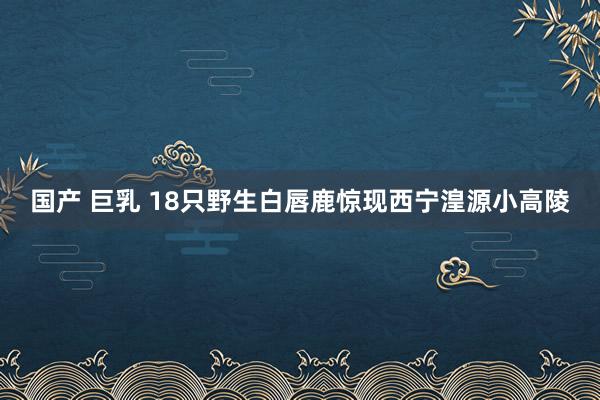 国产 巨乳 18只野生白唇鹿惊现西宁湟源小高陵