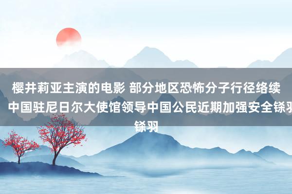 樱井莉亚主演的电影 部分地区恐怖分子行径络续，中国驻尼日尔大使馆领导中国公民近期加强安全铩羽