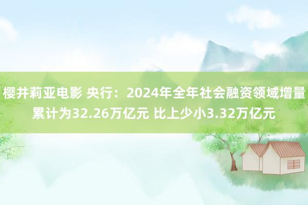 樱井莉亚电影 央行：2024年全年社会融资领域增量累计为32.26万亿元 比上少小3.32万亿元