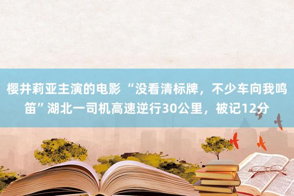 樱井莉亚主演的电影 “没看清标牌，不少车向我鸣笛”湖北一司机高速逆行30公里，被记12分