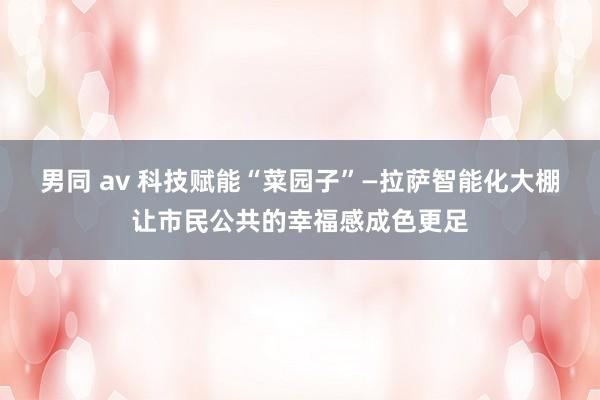 男同 av 科技赋能“菜园子”—拉萨智能化大棚让市民公共的幸福感成色更足