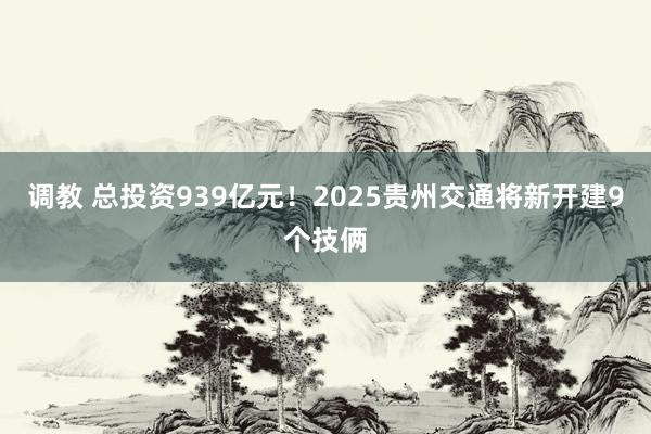 调教 总投资939亿元！2025贵州交通将新开建9个技俩