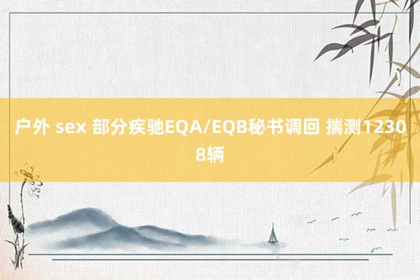 户外 sex 部分疾驰EQA/EQB秘书调回 揣测12308辆