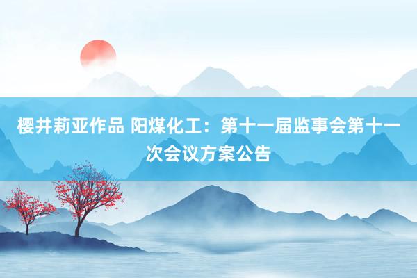 樱井莉亚作品 阳煤化工：第十一届监事会第十一次会议方案公告