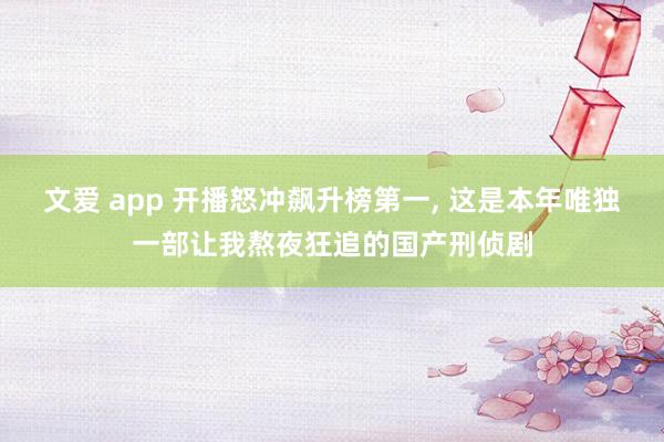 文爱 app 开播怒冲飙升榜第一, 这是本年唯独一部让我熬夜狂追的国产刑侦剧