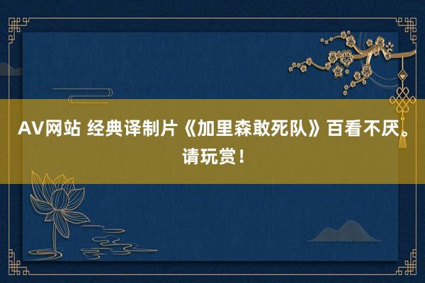 AV网站 经典译制片《加里森敢死队》百看不厌。请玩赏！
