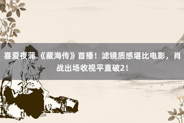 喜爱夜蒲 《藏海传》首播！滤镜质感堪比电影，肖战出场收视平直破2！